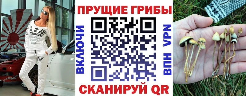 магазин  наркотиков  Игарка  Галлюциногенные грибы Psilocybe 